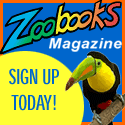FREE Zoobooks Issue!  FREE Tiger Poster!
